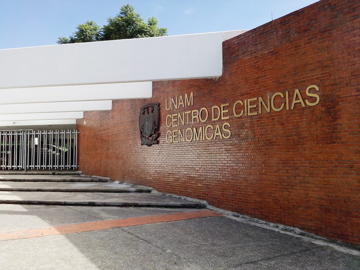 Autonomous University of Morelos State photo 4