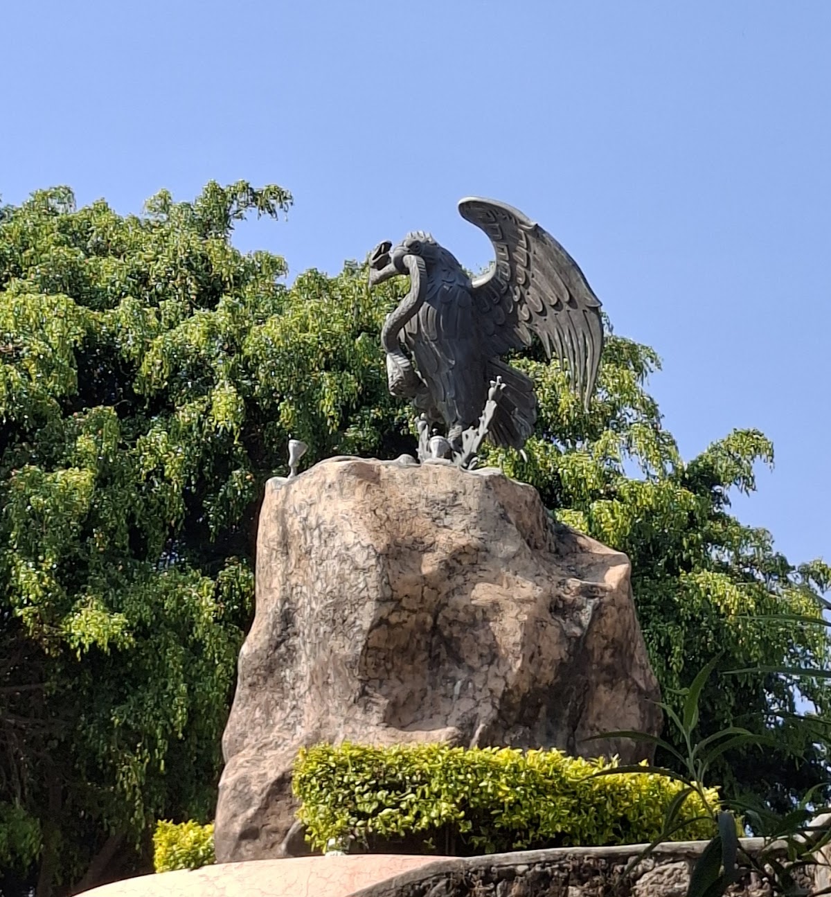 Autonomous University of Morelos State photo 6