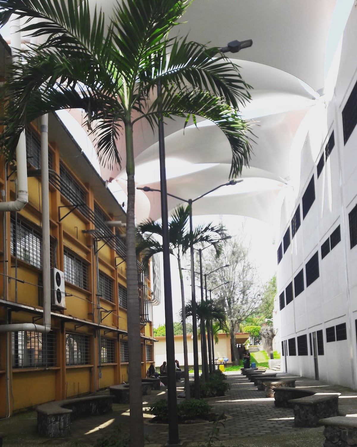 Autonomous University of Morelos State photo 7
