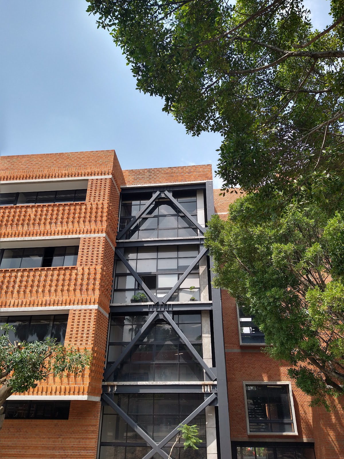 Autonomous University of Morelos State photo 9