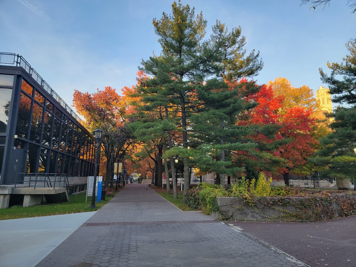 CUNY Lehman College photo 4