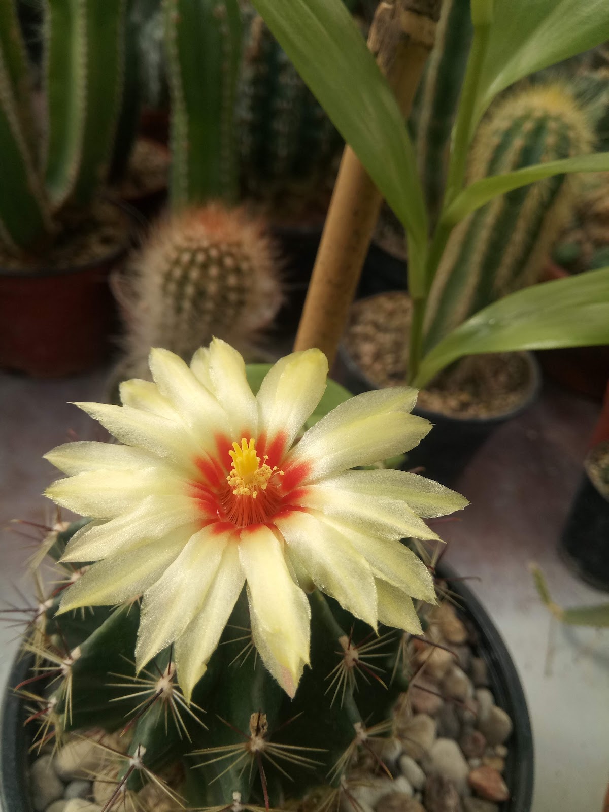 University of Applied Sciences photo 8