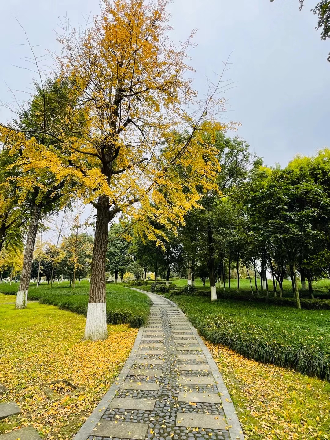 University of Electronic Science and Technology of China photo 2