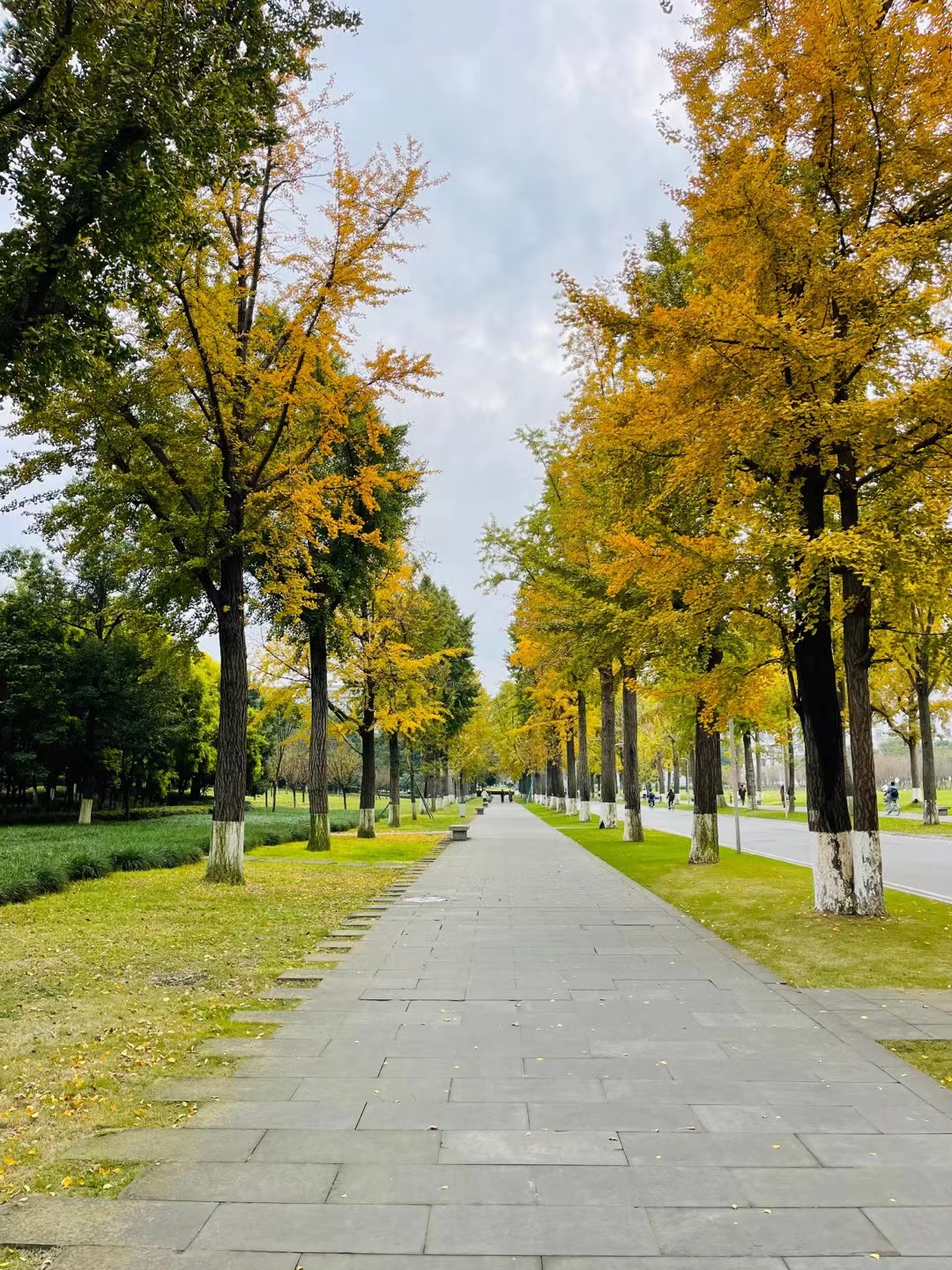 University of Electronic Science and Technology of China photo 3
