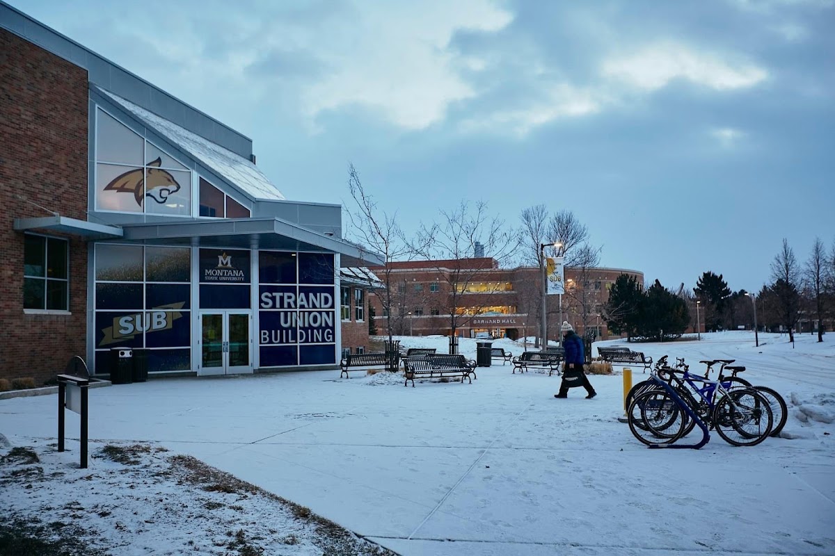 Montana State University photo 3