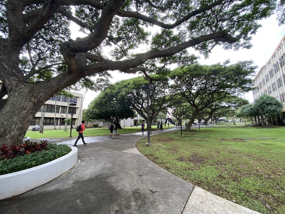 University of Hawaii Manoa photo 4