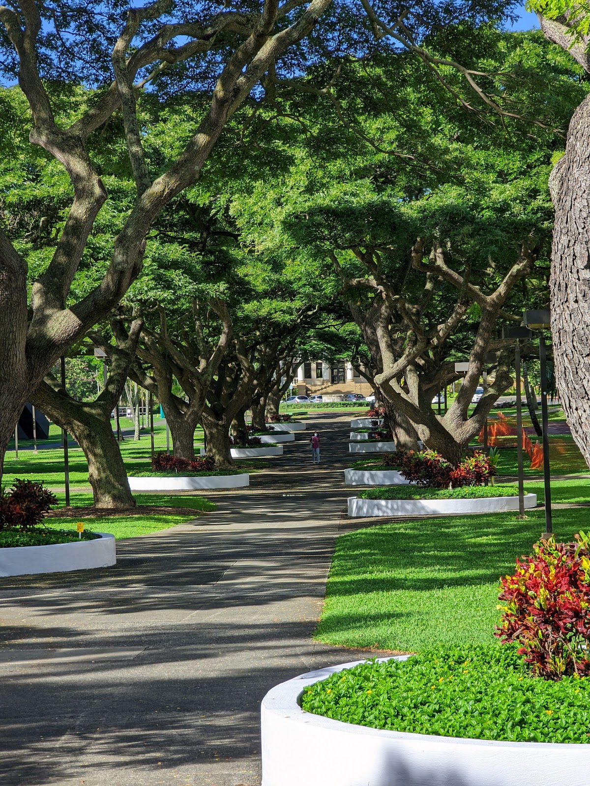 University of Hawaii Manoa photo 8