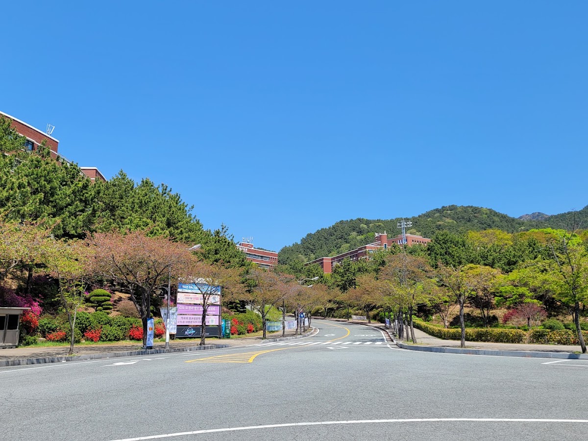 Silla University photo 2