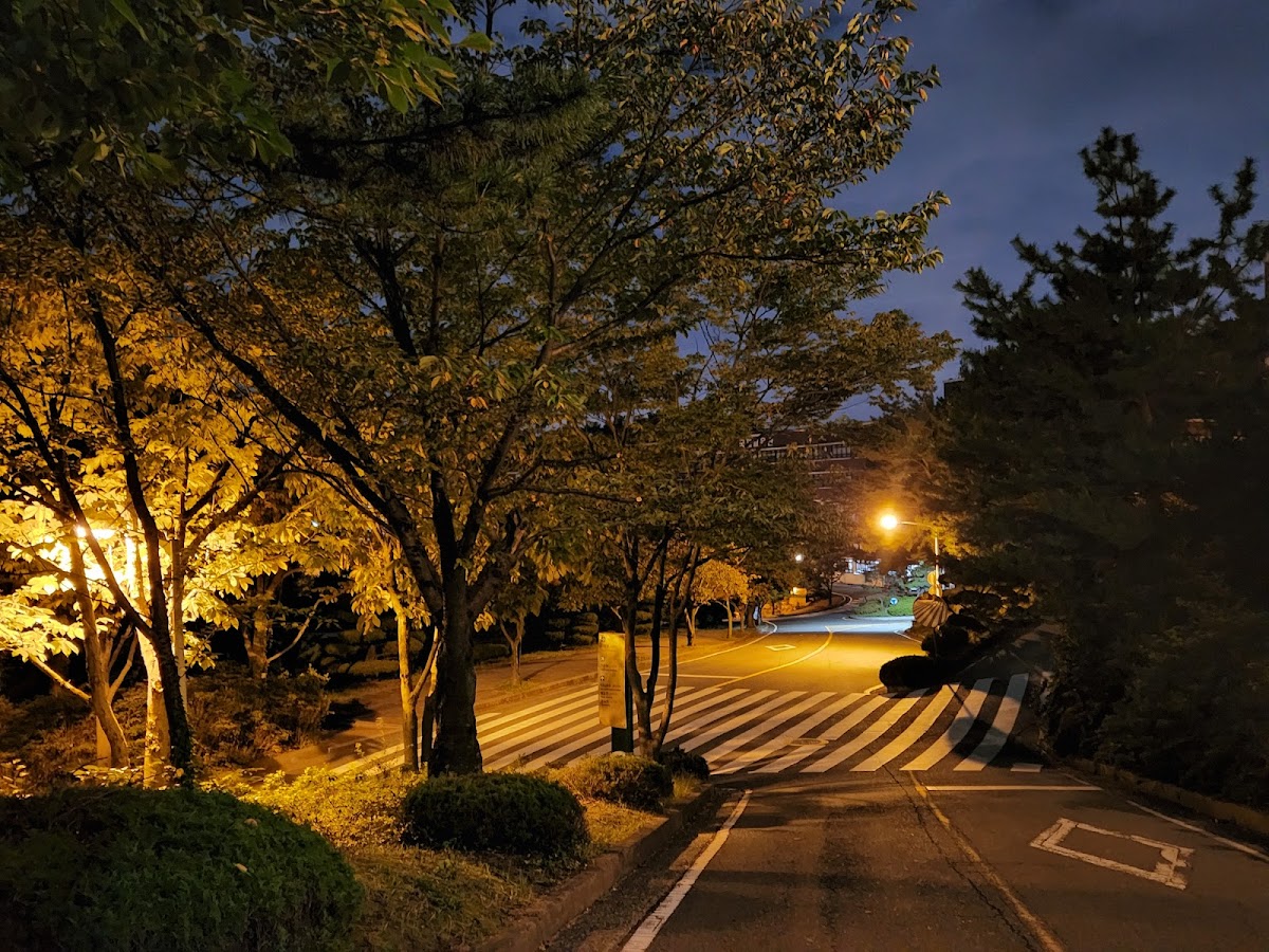 Silla University photo 3