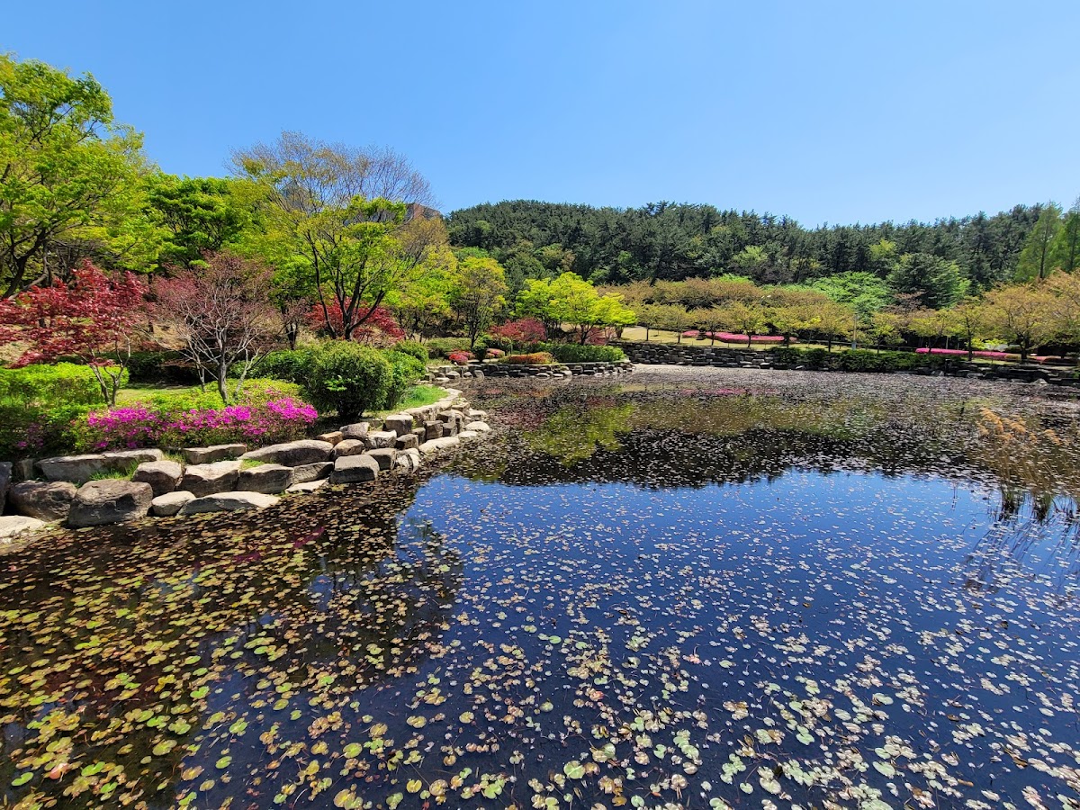 Silla University photo 7