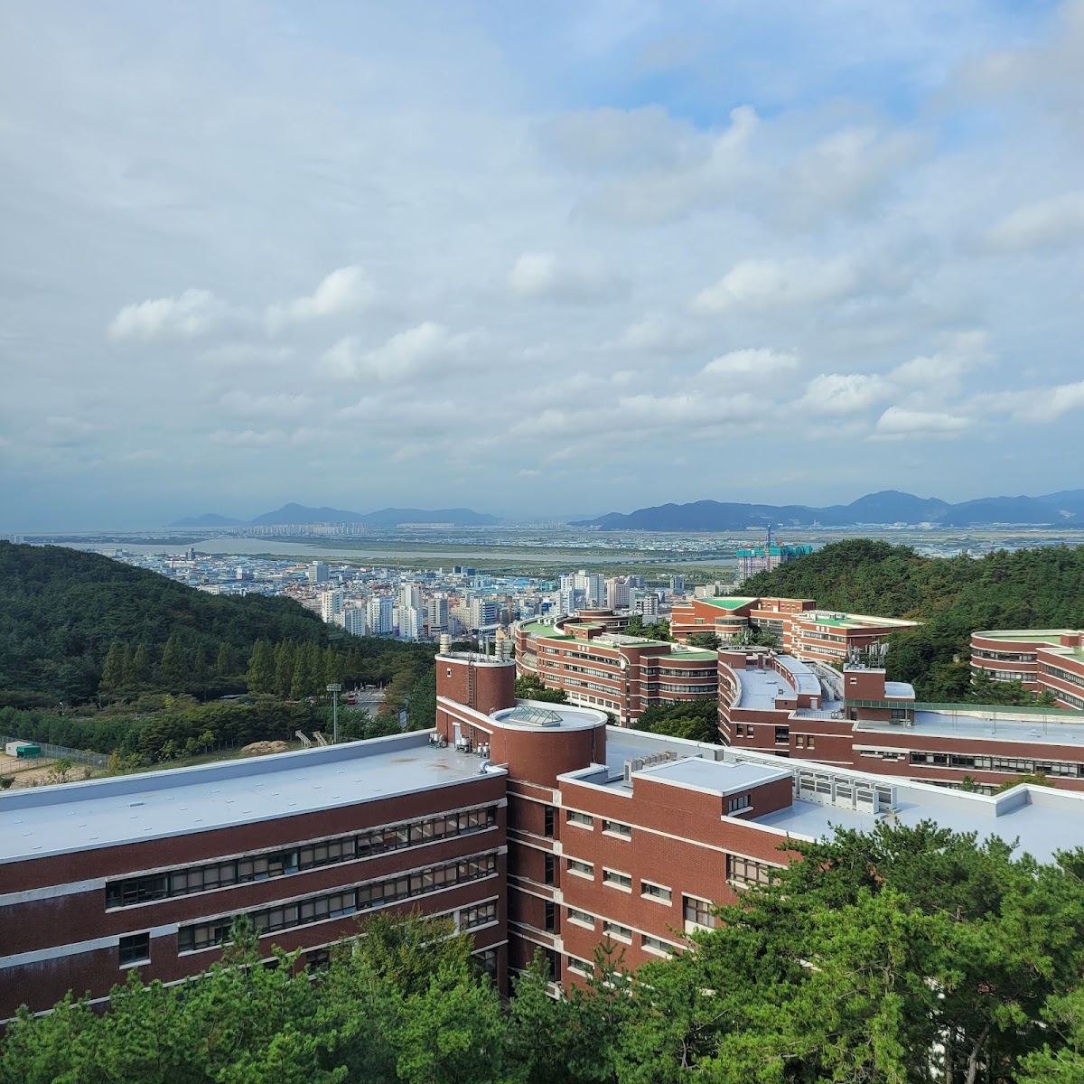 Silla University photo 8