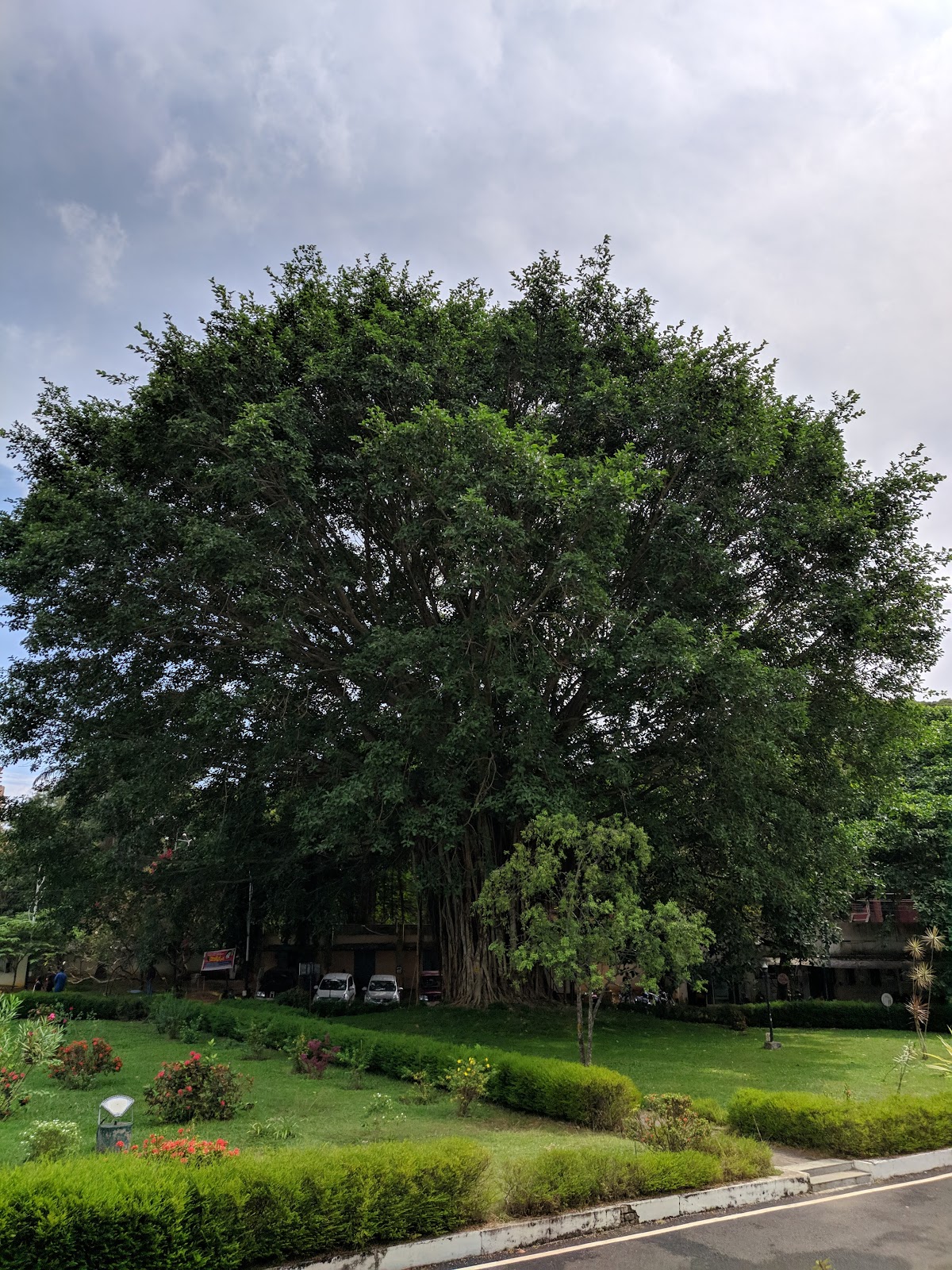 Kerala University photo 7