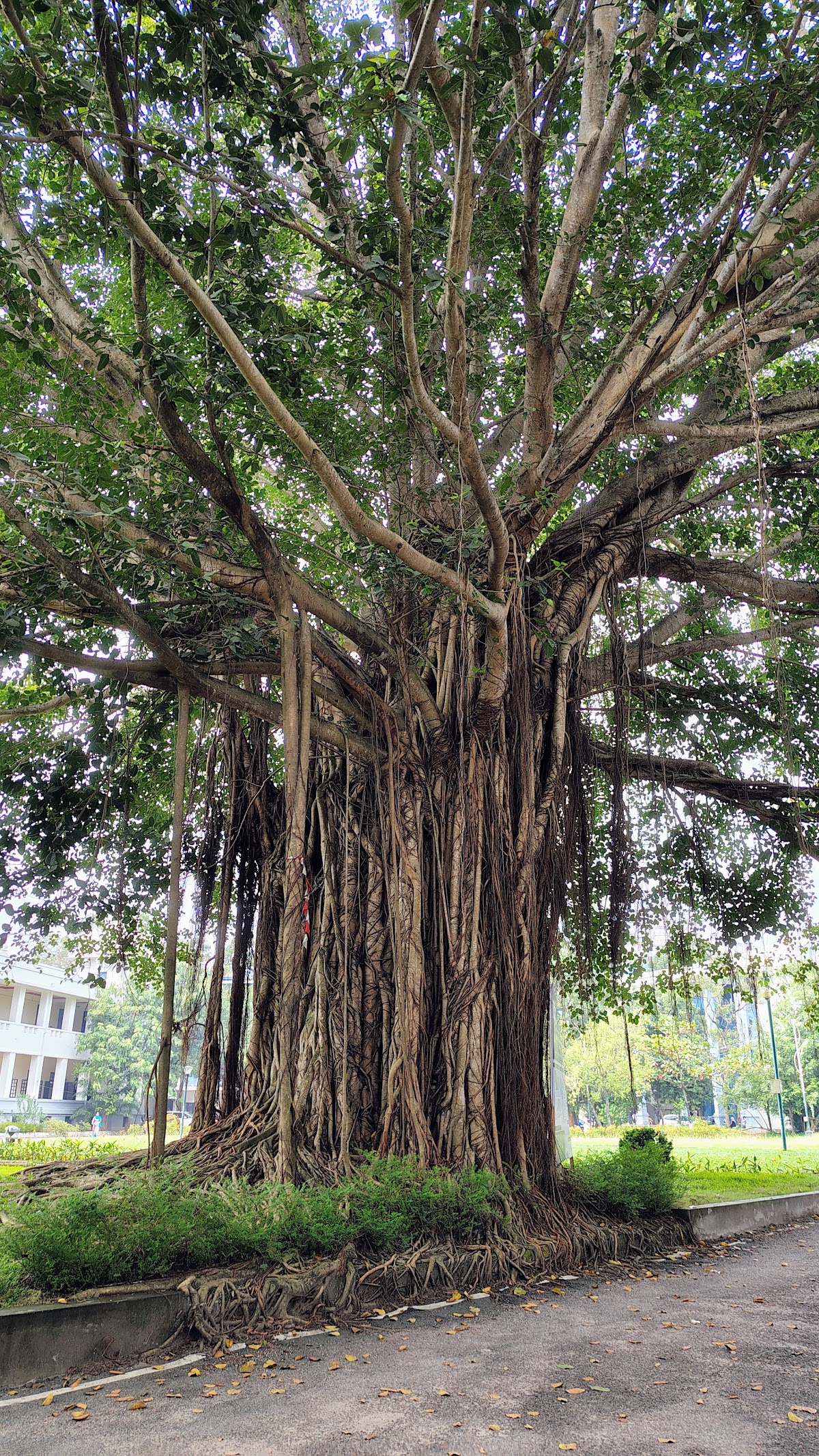 Kerala University photo 8