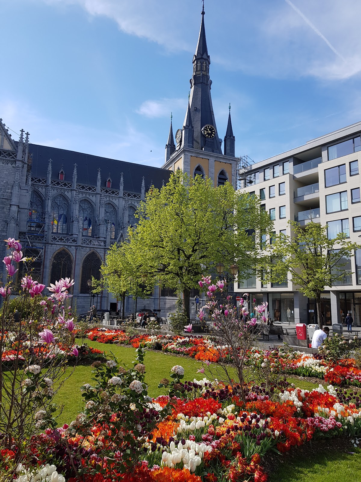 Haute École Charlemagne photo 7