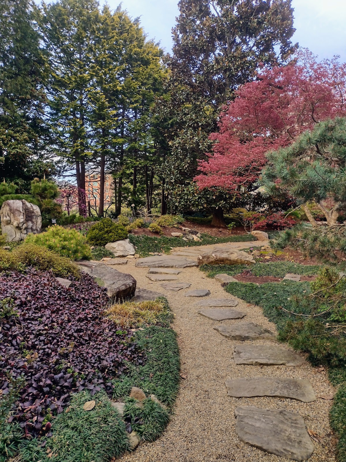 College of 3228 photo 7