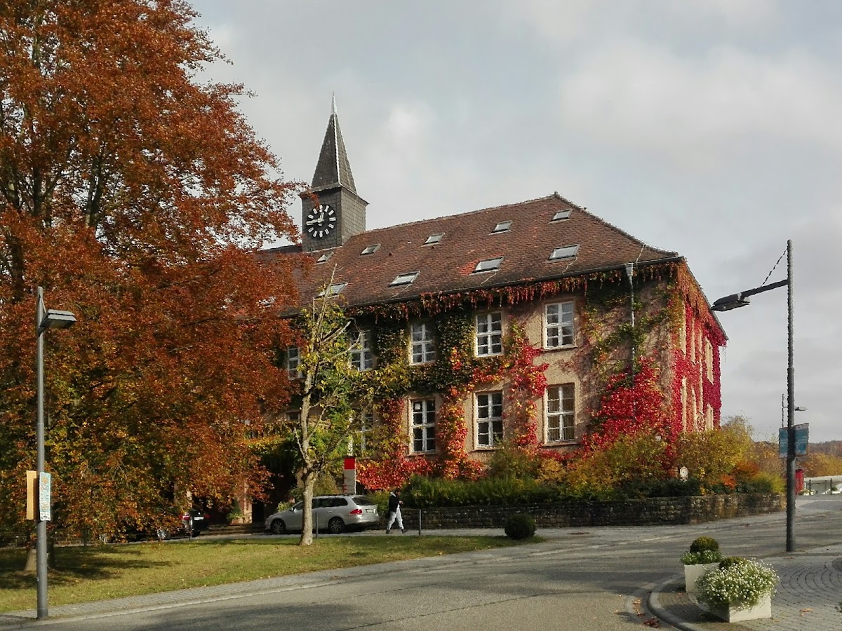 University of Saarland photo 6