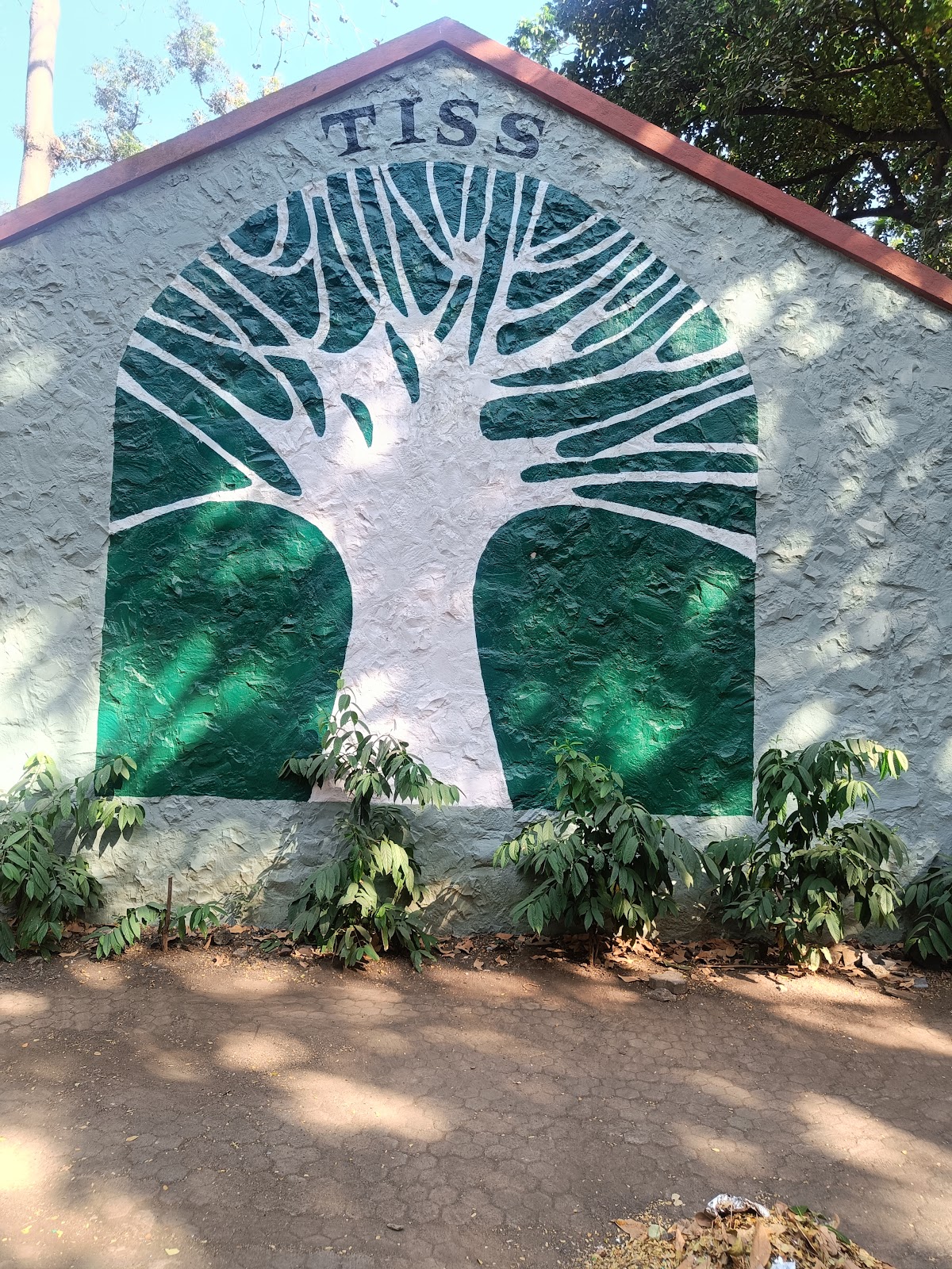 Tata Institute of Social Sciences photo 9