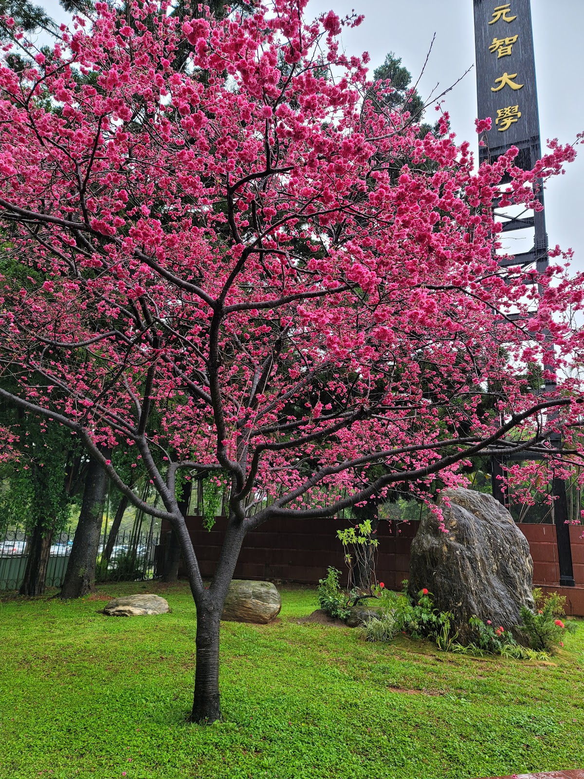 Yuan Ze University photo 9