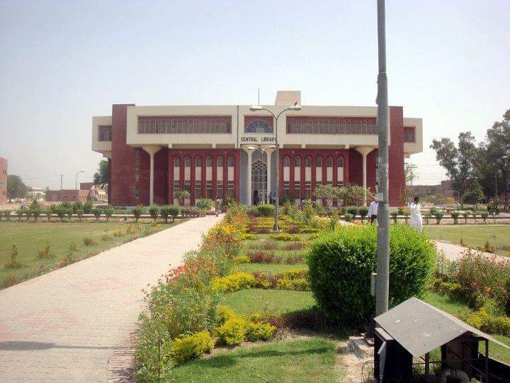 Bahauddin Zakariya University photo 4
