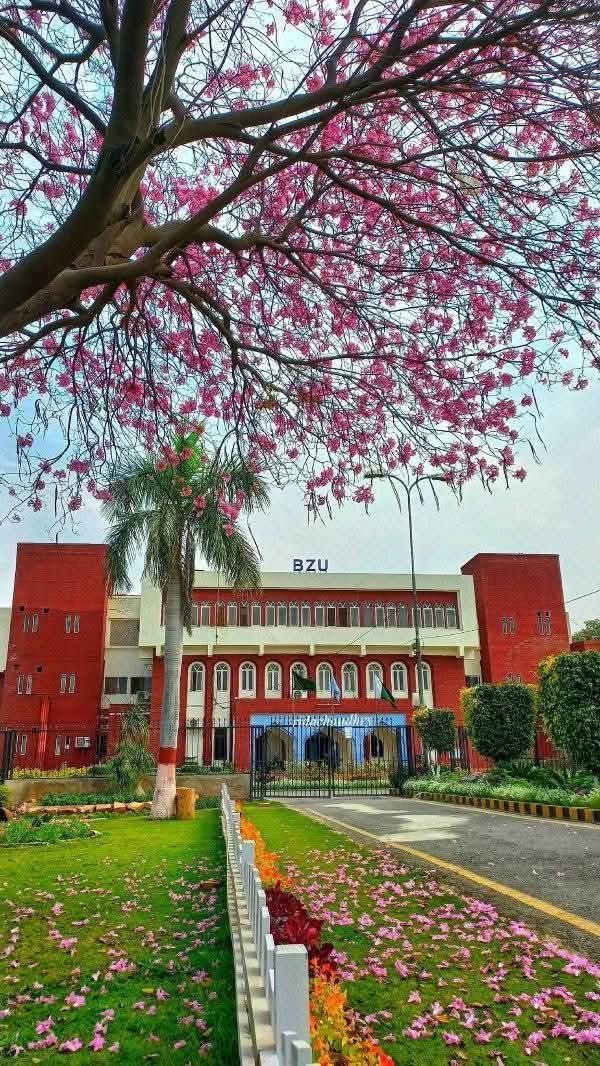 Bahauddin Zakariya University photo 9