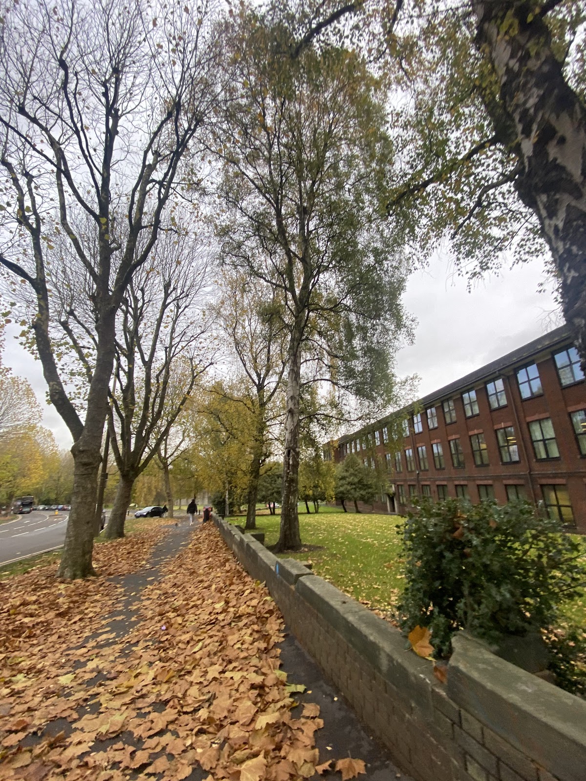 Dudley College photo 5