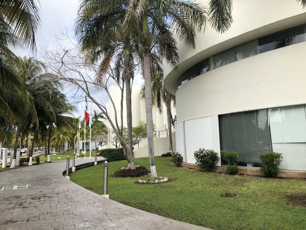 Universidad del Caribe photo 6