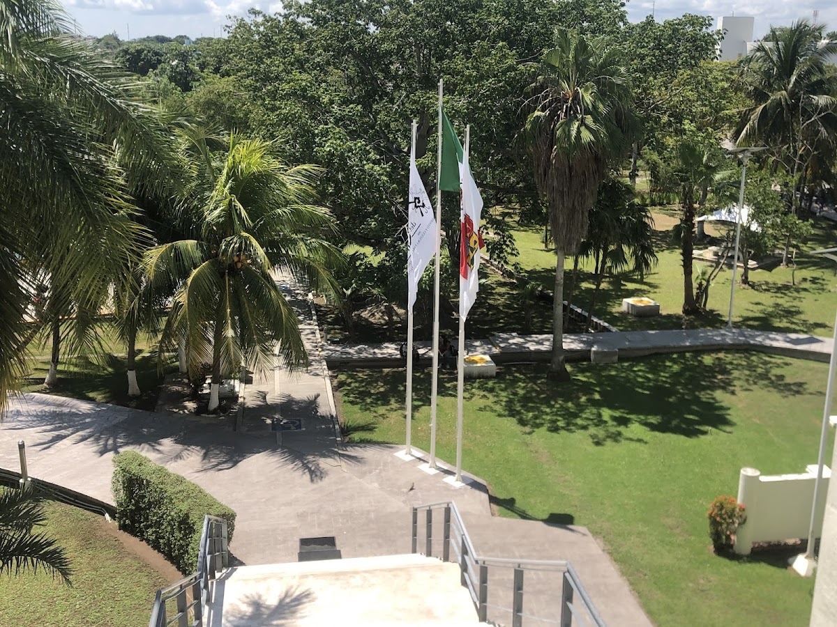 Universidad del Caribe photo 7