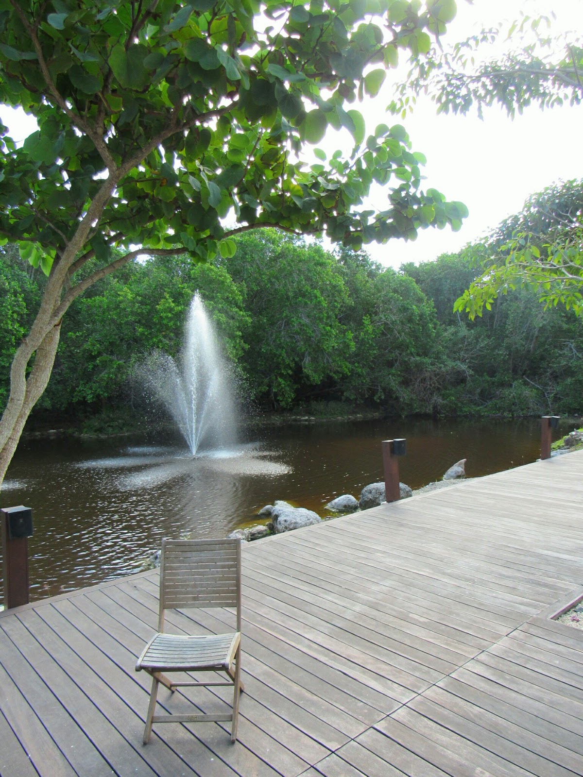 Universidad del Caribe photo 8