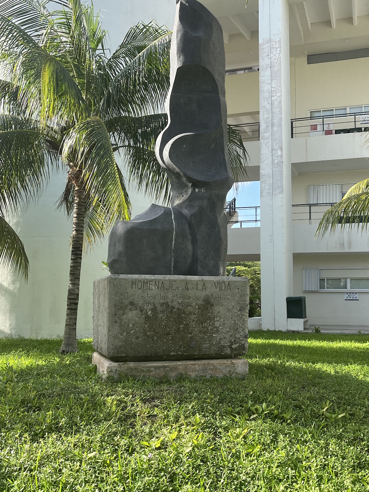Universidad del Caribe photo 9