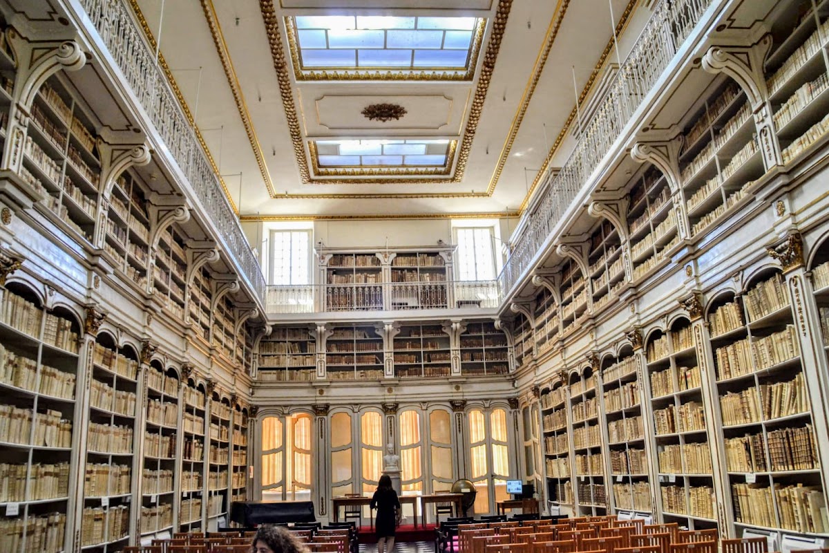 University of Cagliari photo 1