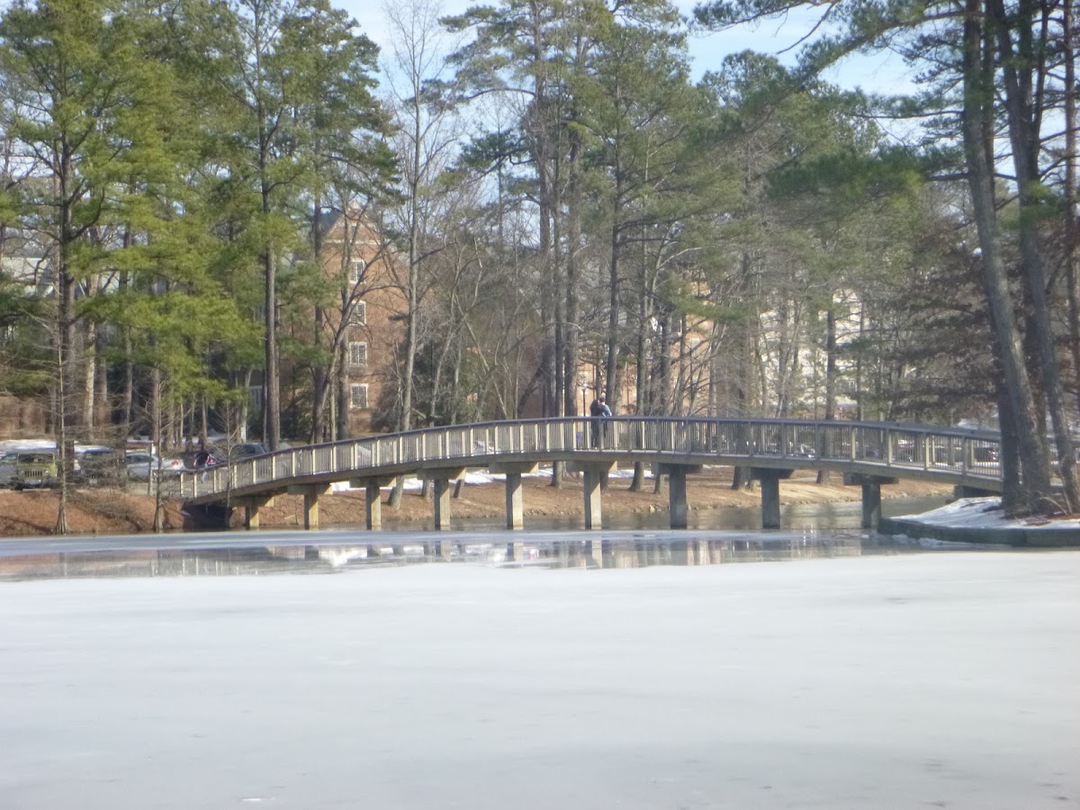 University of Richmond photo 5