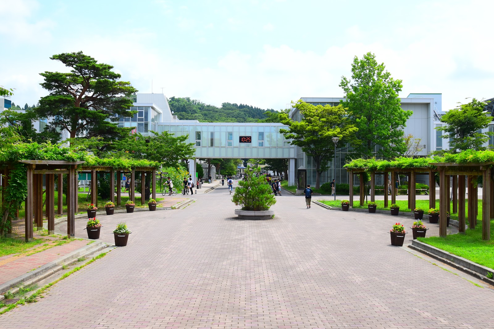 Akita University