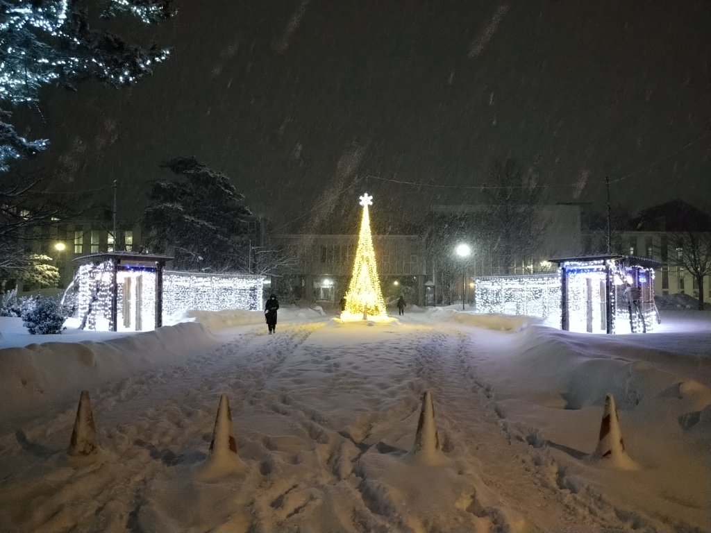 Akita University photo 4