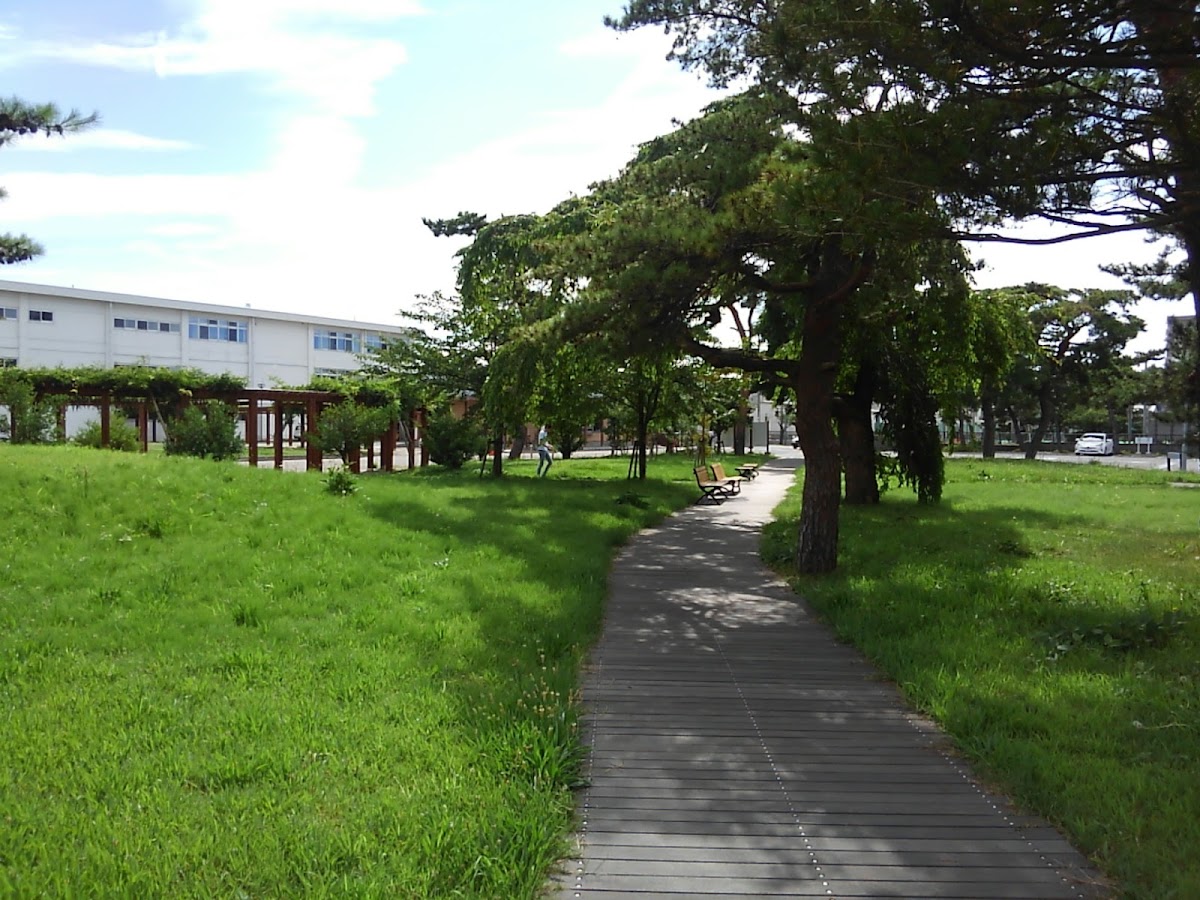 Akita University photo 6