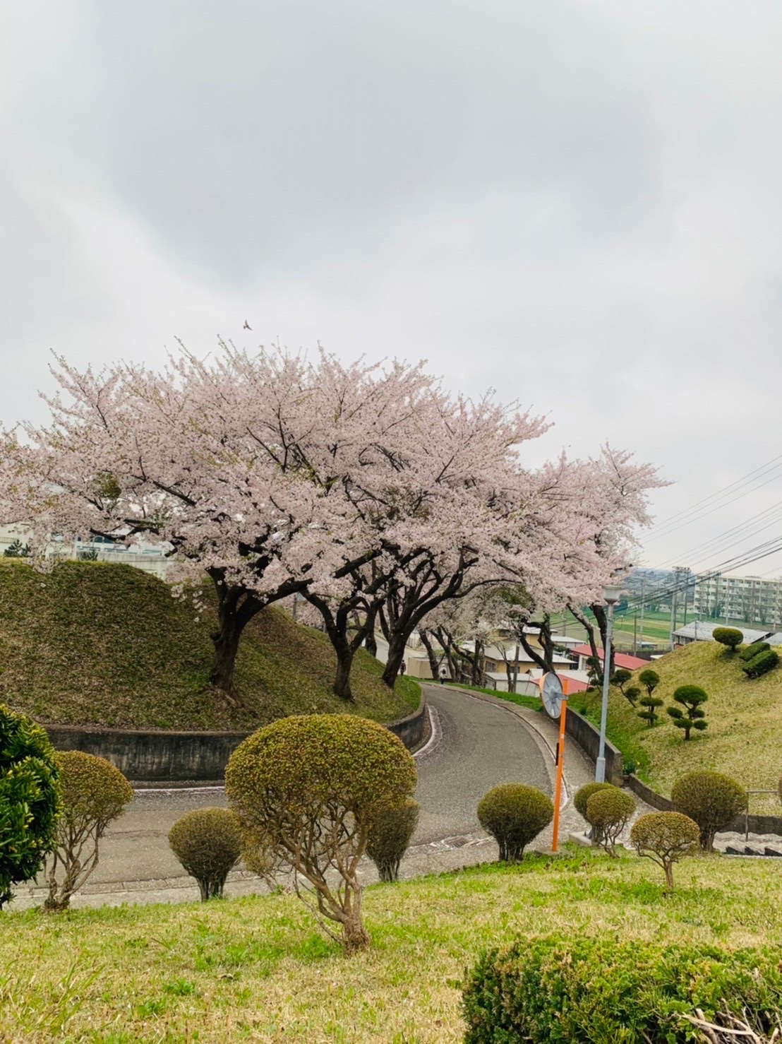 Akita University photo 9