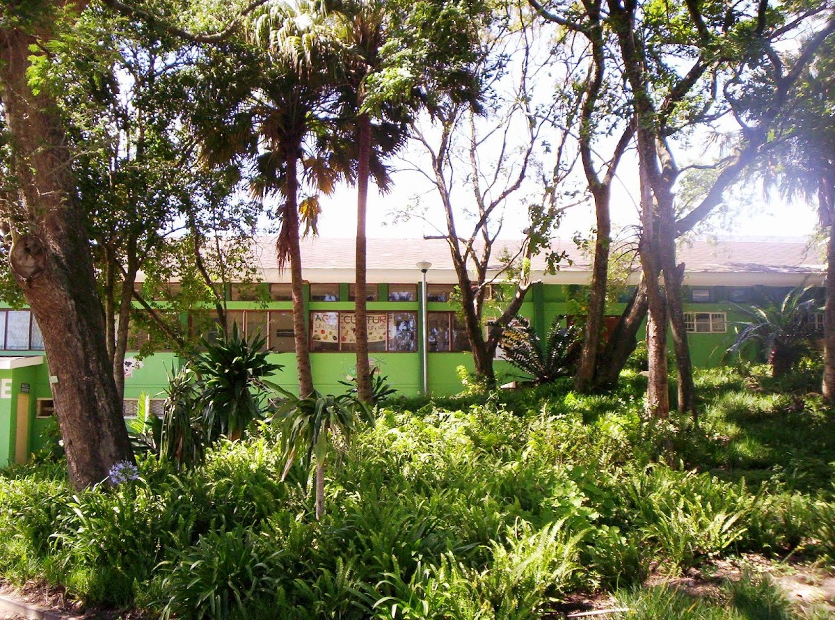University of Zululand photo 3