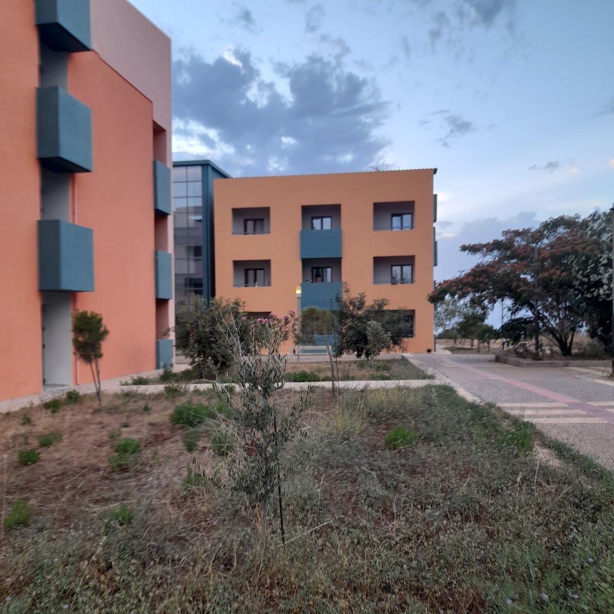 University of Crete - Chania photo 8