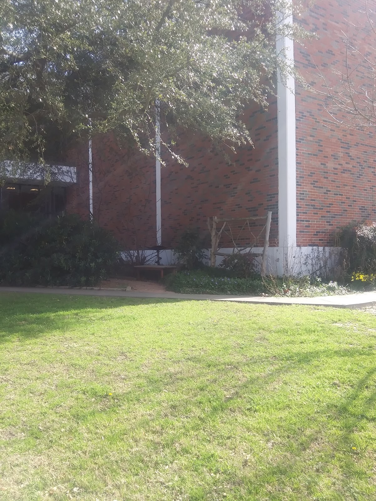 Texas A&M University-Commerce photo 9