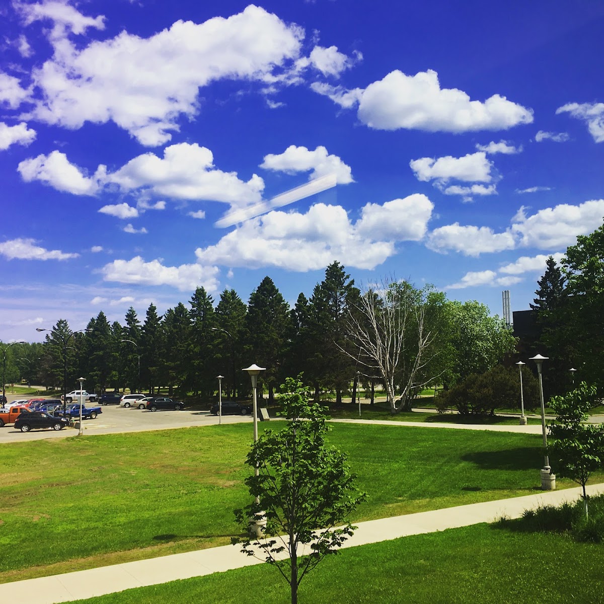 Confederation College photo 8