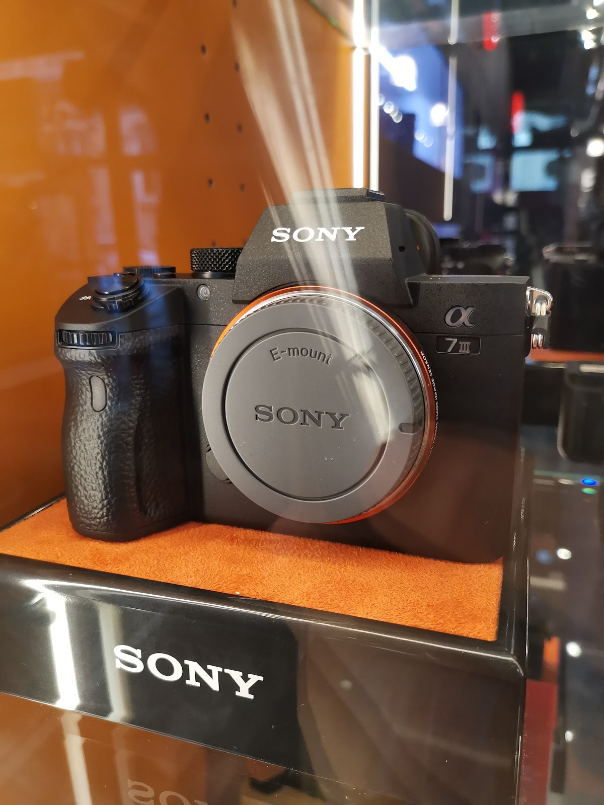 Académie Royale des Beaux-Arts de Bruxelles photo 6