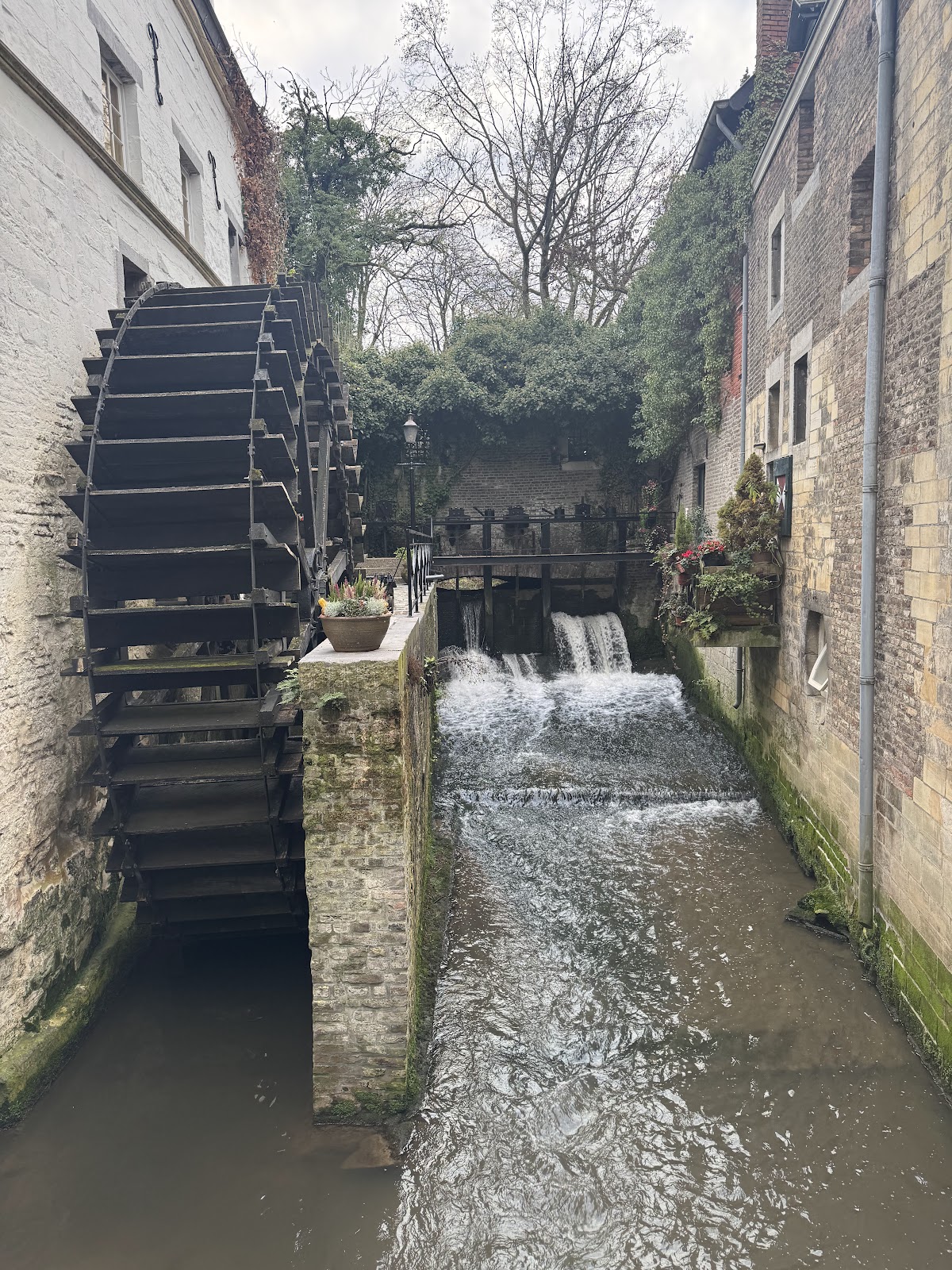 Maastricht University photo 8