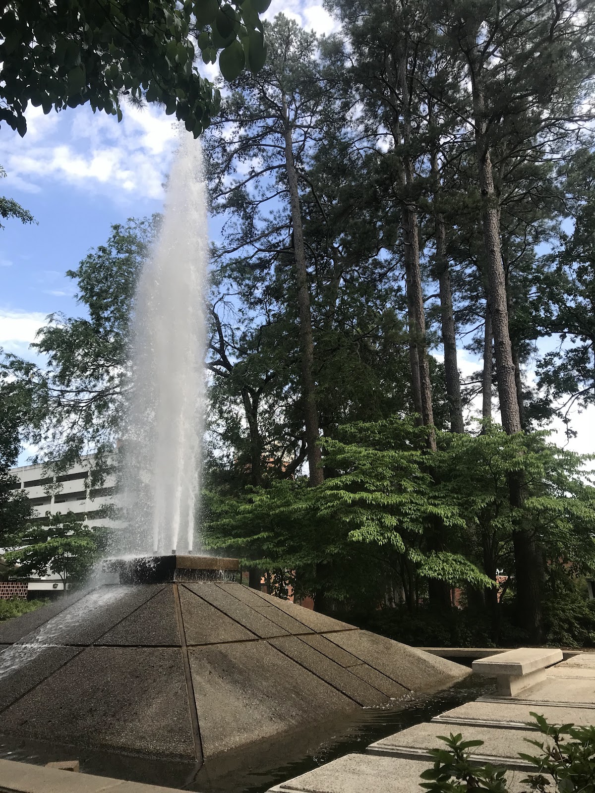 University of Arkansas Little Rock photo 6