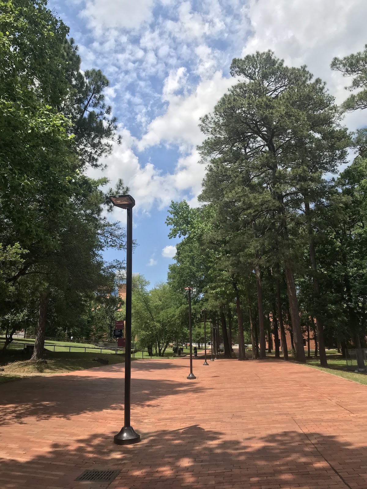 University of Arkansas Little Rock photo 8