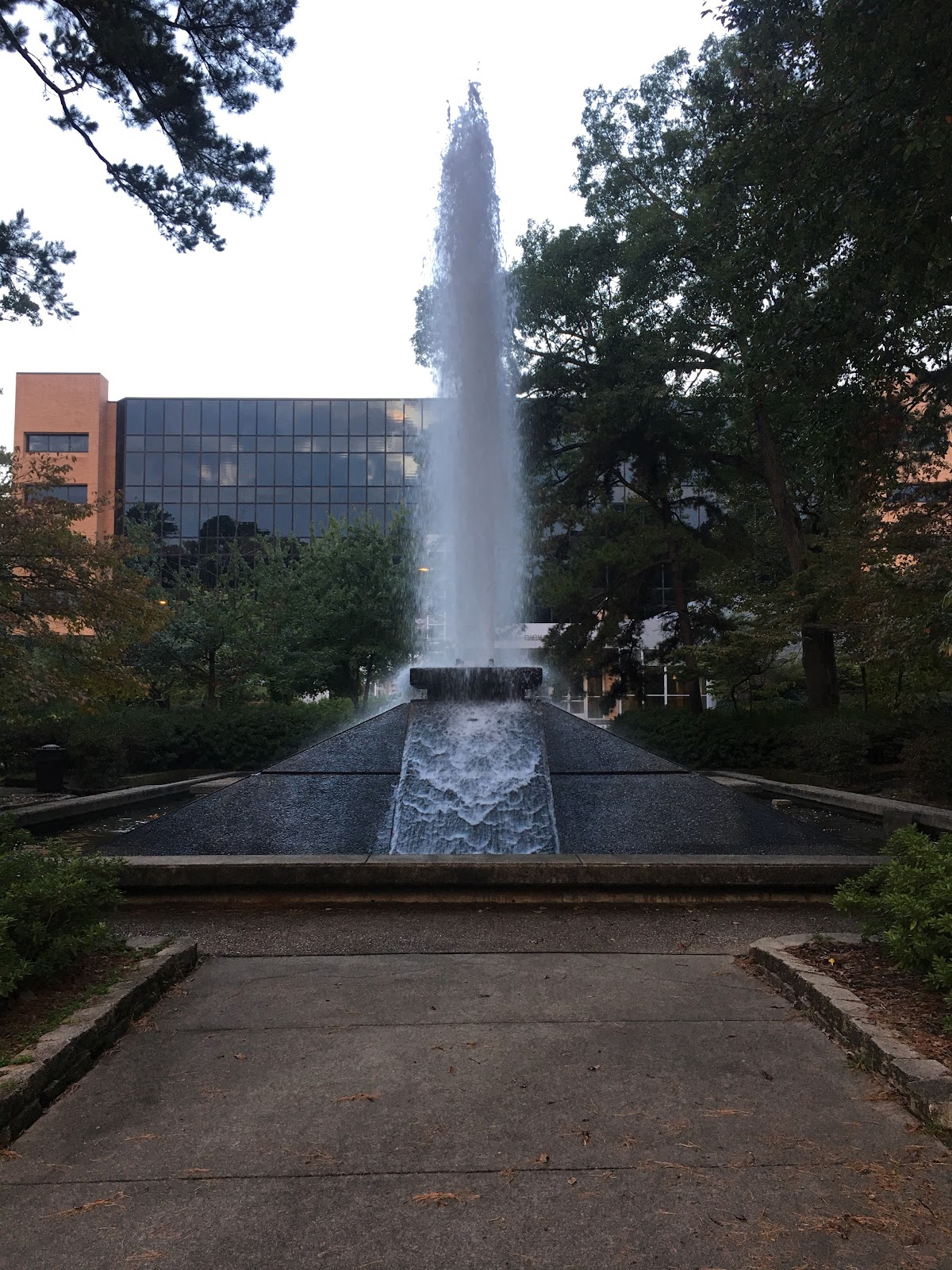 University of Arkansas Little Rock photo 9