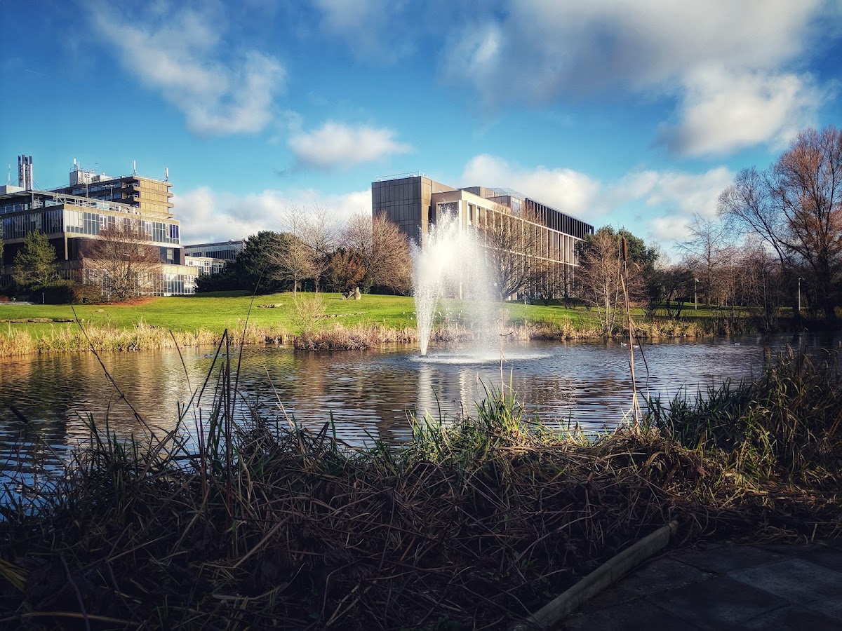 University of Bath photo 4