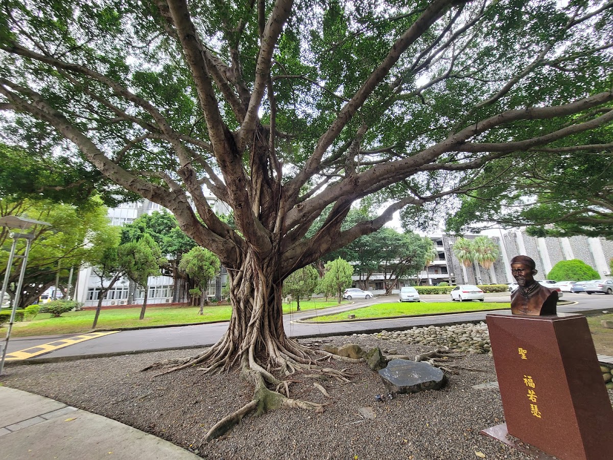 Fu Jen Catholic University photo 7