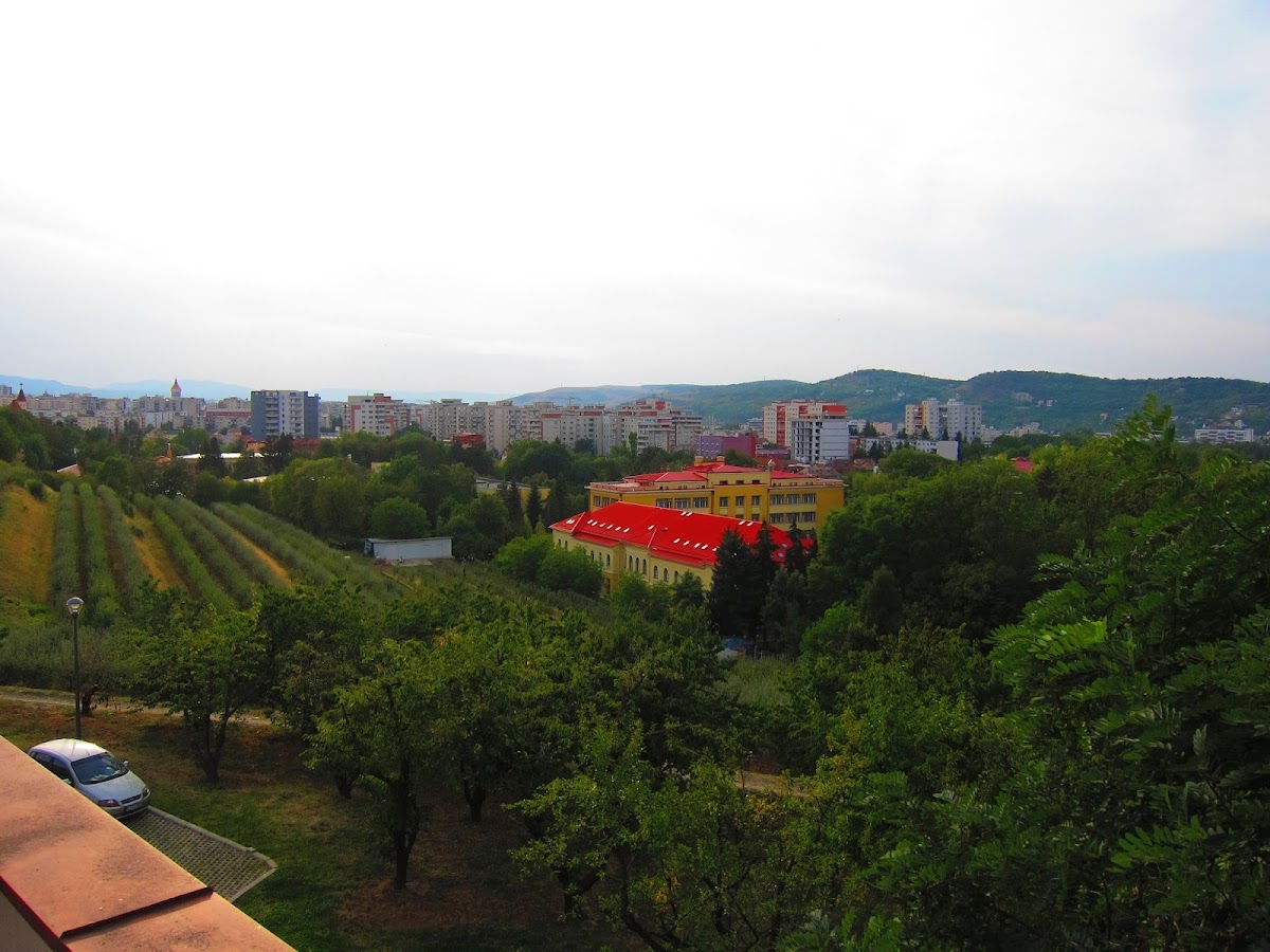 University of Agricultural Sciences and Veterinary Medicine of Cluj-Napoca photo 5