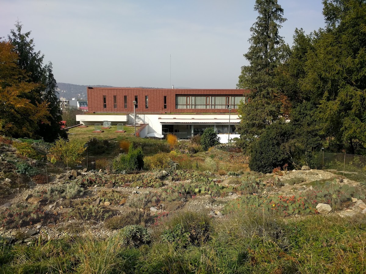 University of Agricultural Sciences and Veterinary Medicine of Cluj-Napoca photo 7