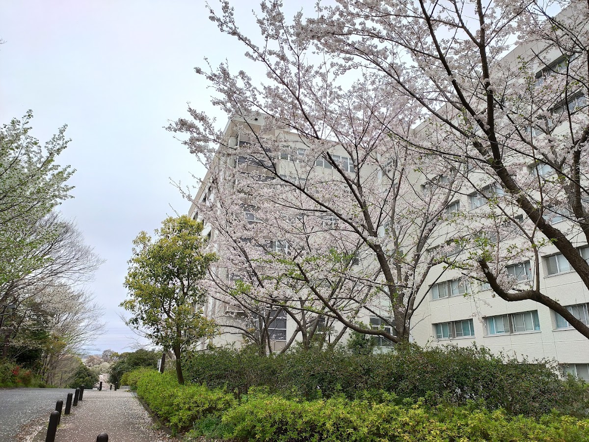 Yokohama National University photo 5