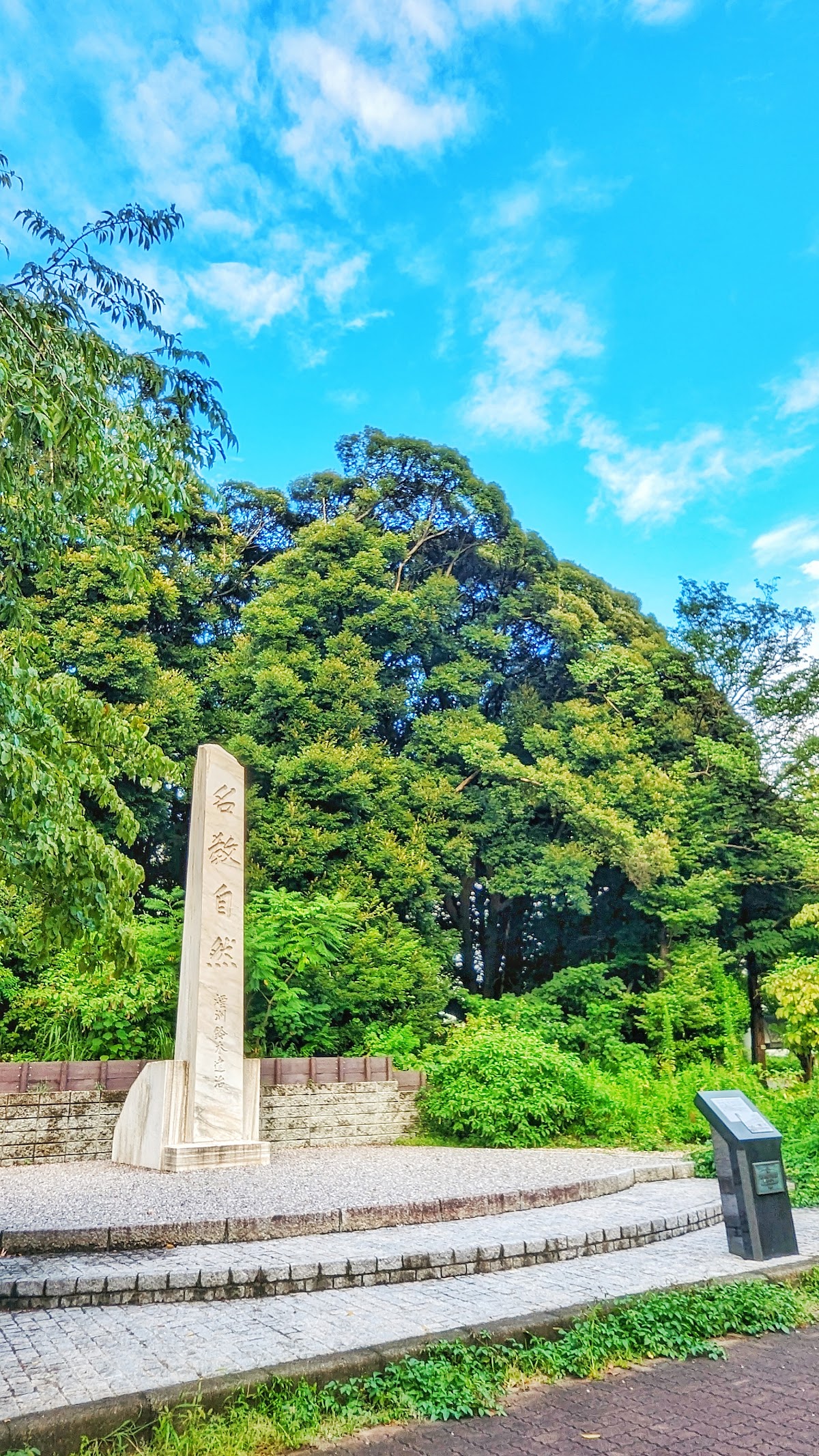 Yokohama National University photo 9